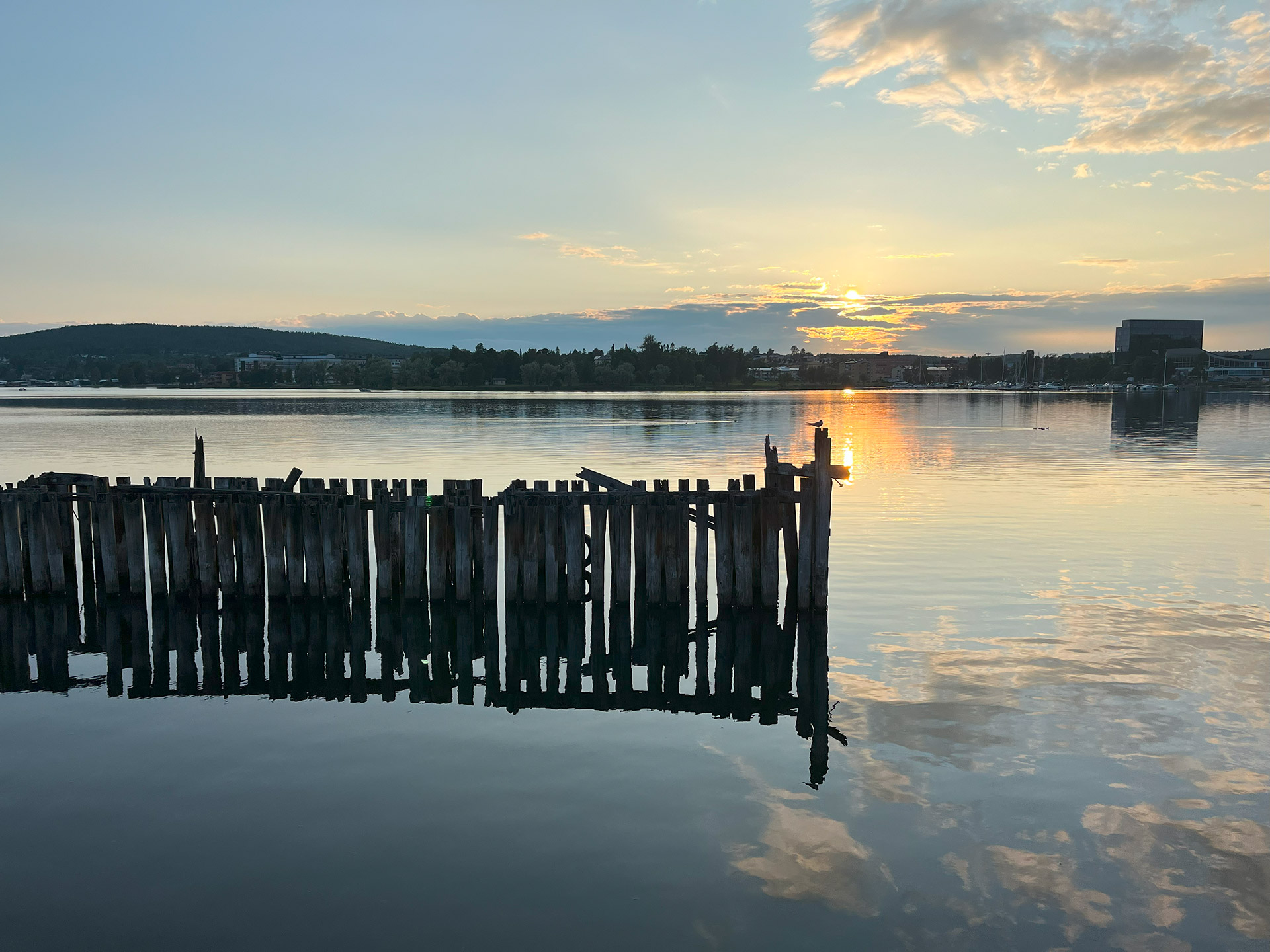 Foto: Malin Sandlund