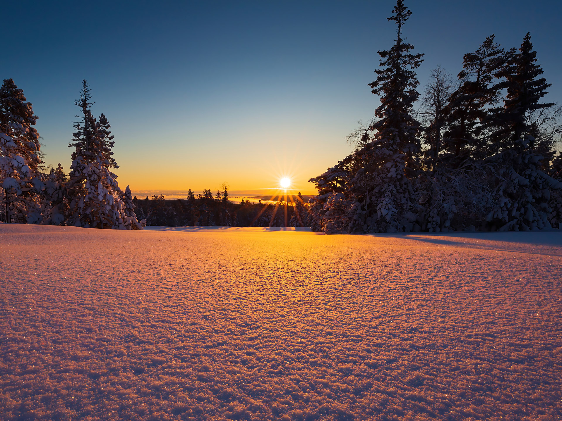 Foto: Fredrik Kåhrström