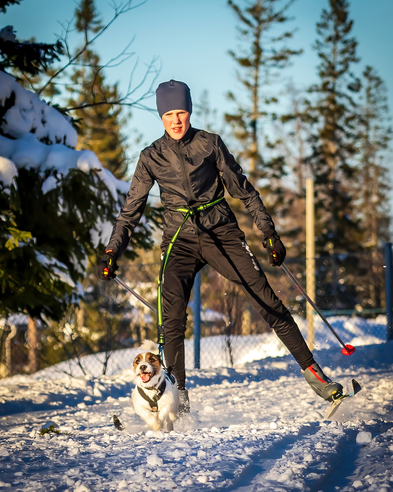 Foto: Fredrik Kåhrström