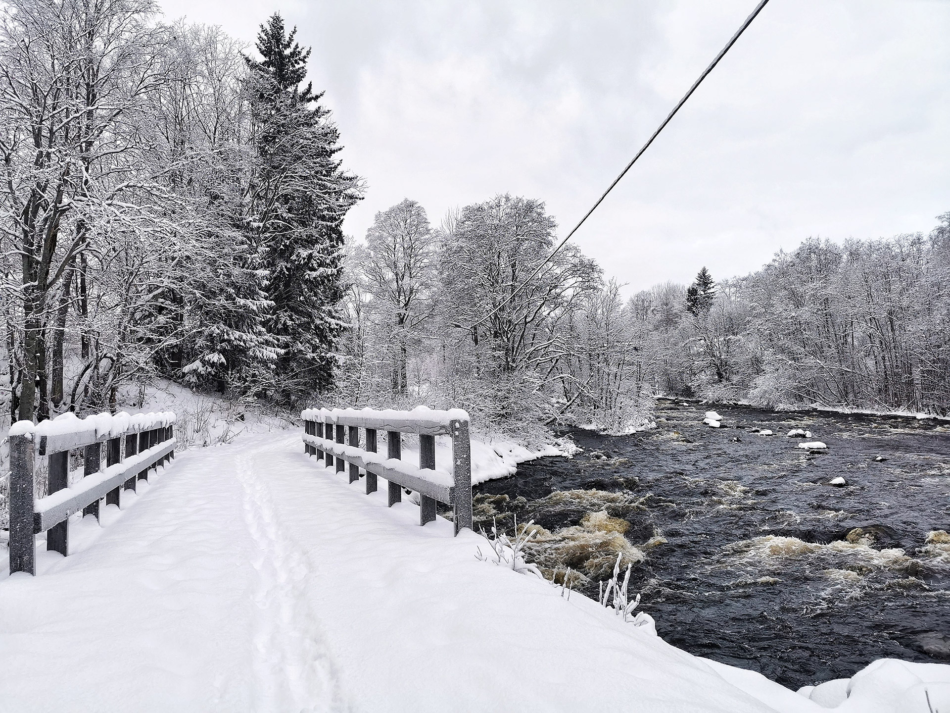 Foto: Sofia Dahlberg