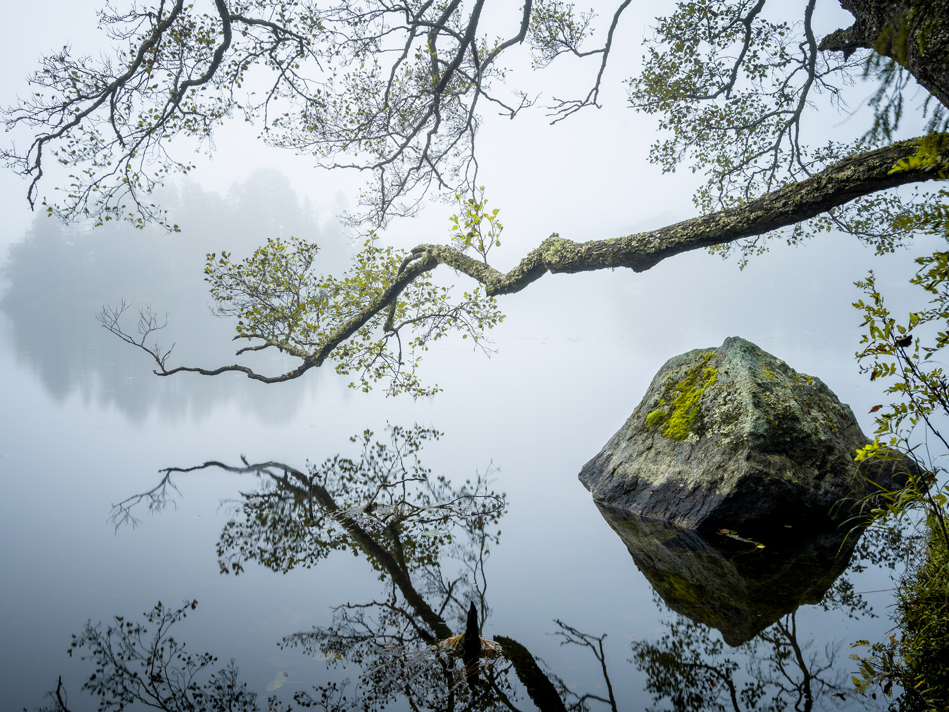 Foto: Pierre Mikaelsson