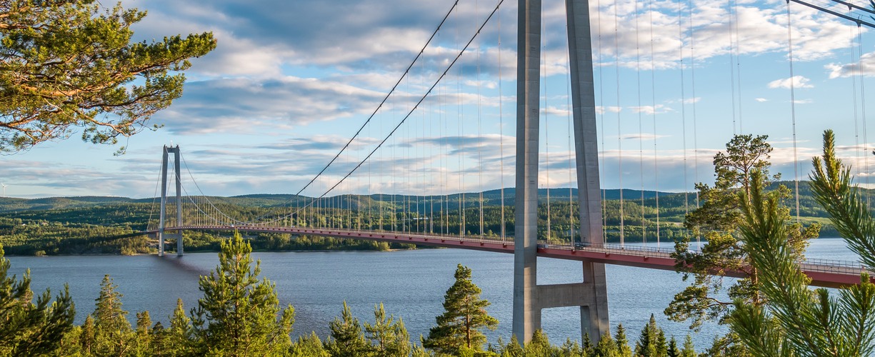 en stor hängbro över en älv